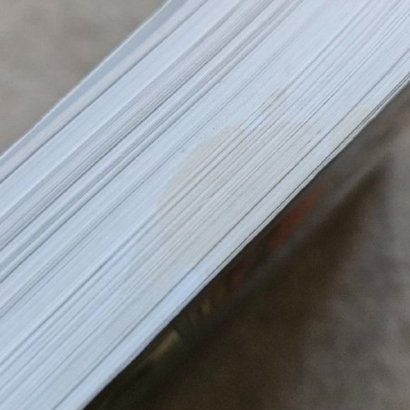 The Broadview Anthology of British Literature: Volume 2 - The Renaissance - Picture 3 of 10